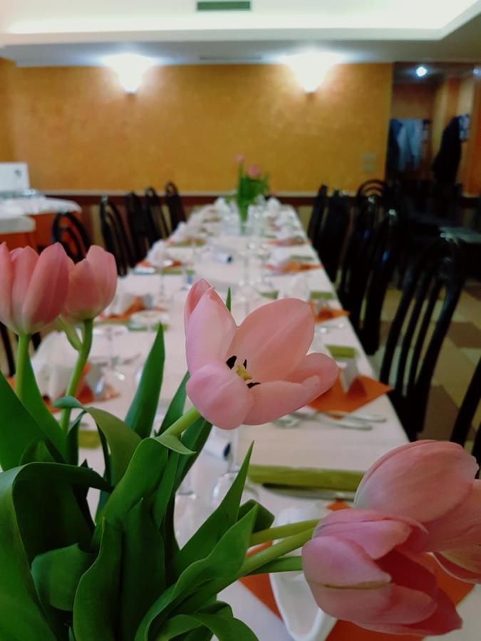 Albergo Ristorante Il Delfino Novara Buitenkant foto